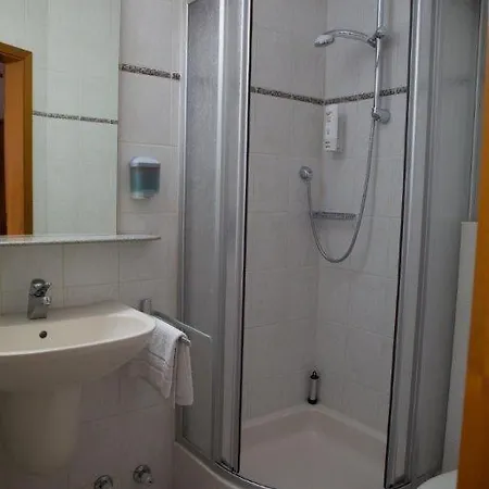 Landgasthof Gruene Linde 3* 호프